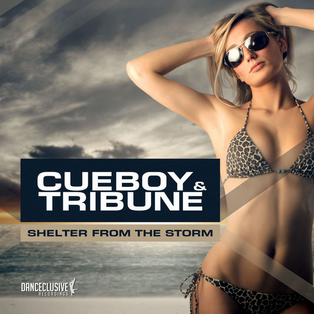 Shelter from the Storm - NeoTune! Remix Edit cover art