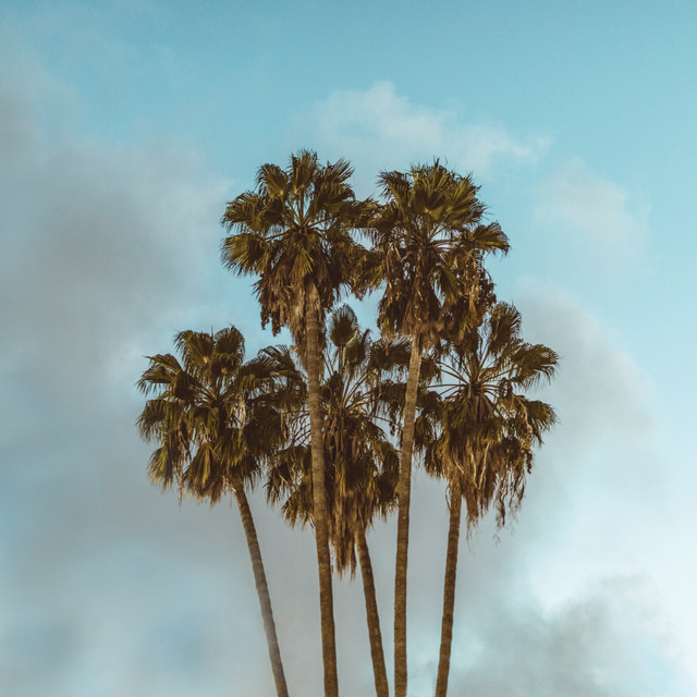 Downtown cover art