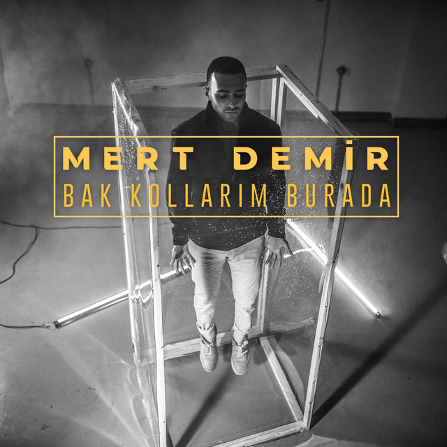 Bak Kollarım Burada cover art