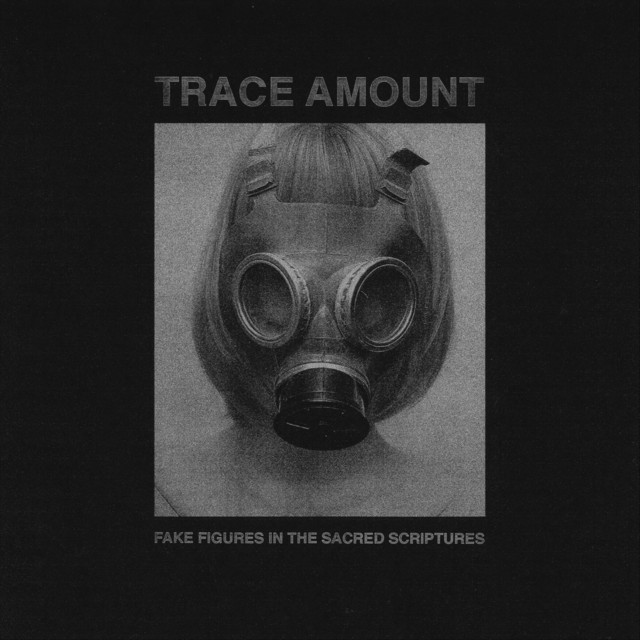 Fake Figures in the Sacred Scriptures cover art