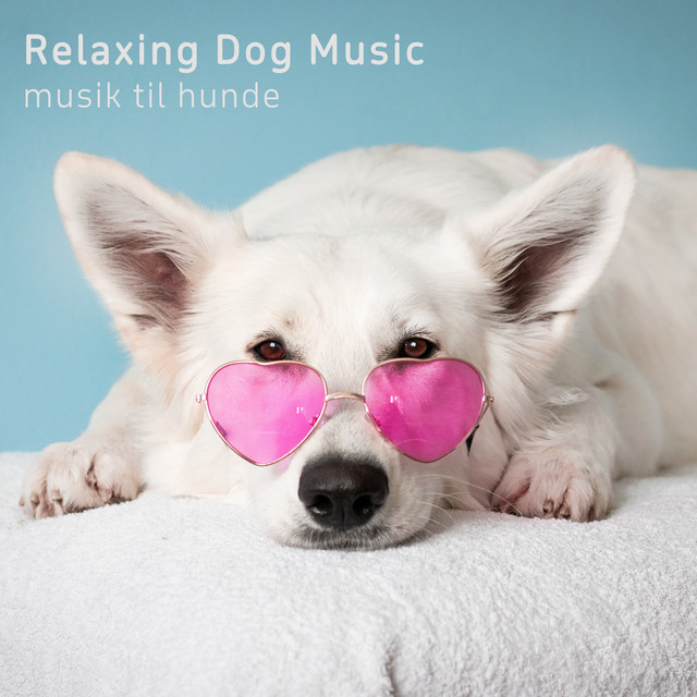 Relaxing Dog Music cover art