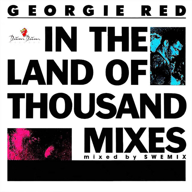 In the Land of 1000 Mixes cover art