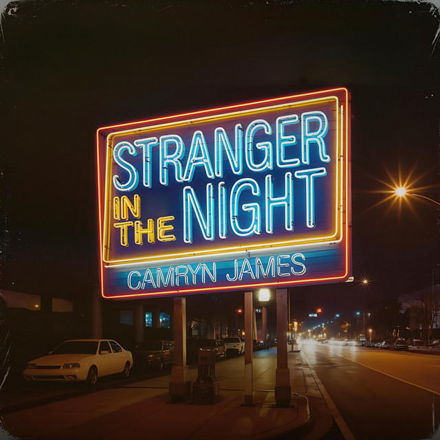 Stranger in the Night cover art