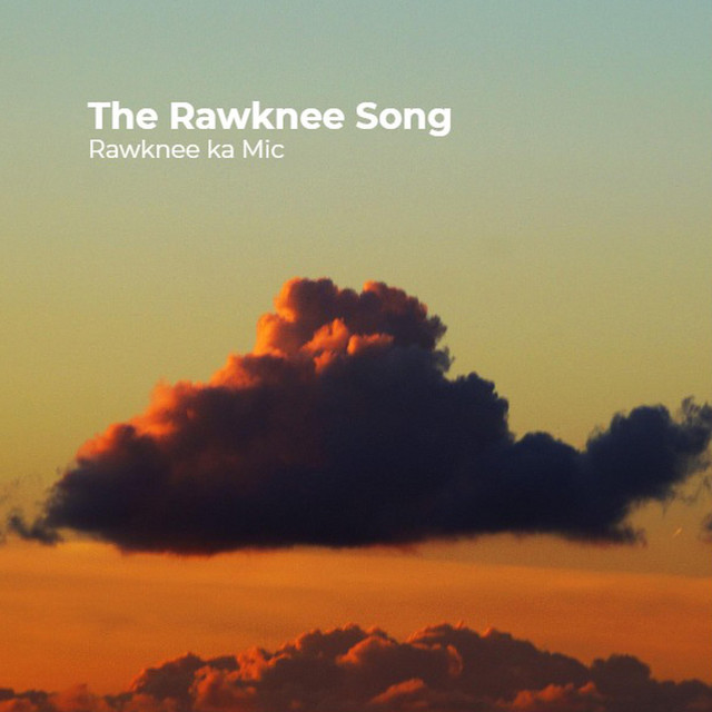 The Rawknee Song - Single by Rawknee ka Mic & Shivang Sanwal | Spotify