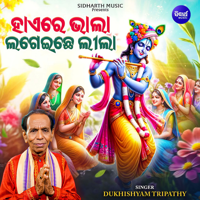 Haere Bhala Lageichhe Leela album image
