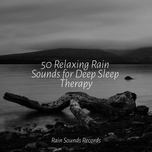 50 Relaxing Rain Sounds for Deep Sleep Therapy - Album by Guided ...