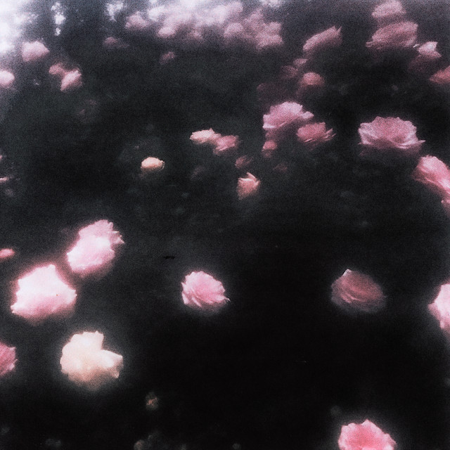 Обкладинка: flowertape — Willix