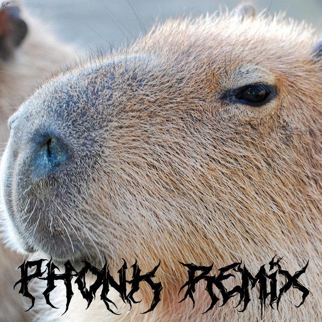 Capybara - Phonk remix