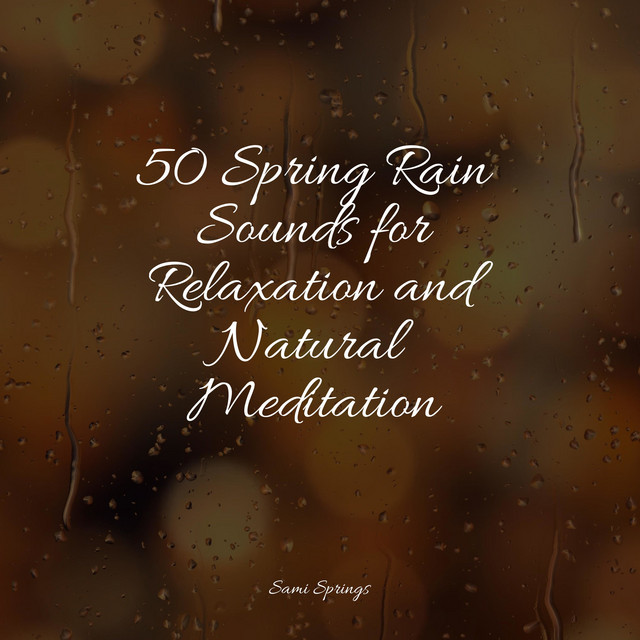 50 Spring Rain Sounds for Relaxation and Natural Meditation - Album by ...
