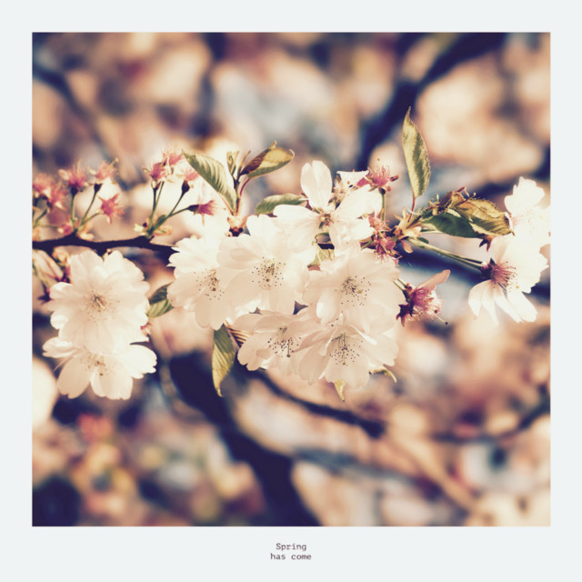 Spring has come