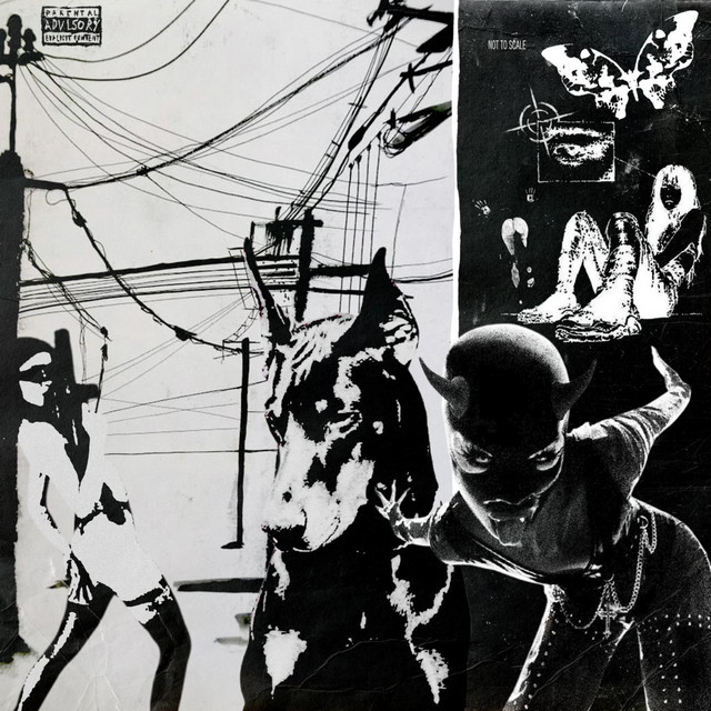 album image