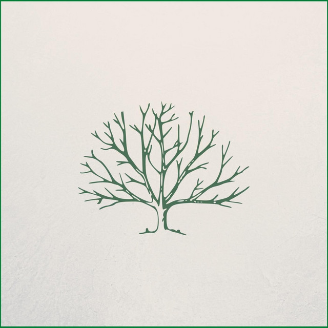 Reborn cover art