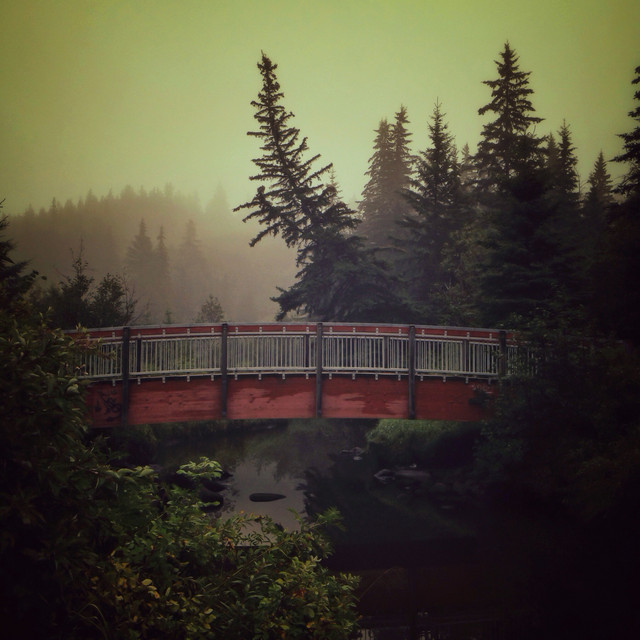 Обкладинка: Twilight Forest — Vens Adams