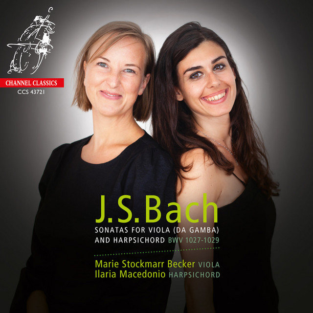 Sonata for Viola da Gamba and Harpsichord No. 3 in G Minor, BWV 1029: I. Vivace