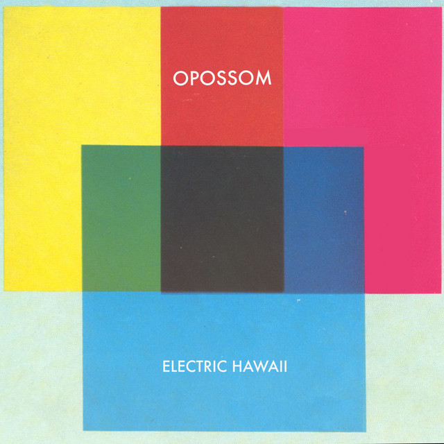 Electric Hawaii (Deluxe Version) cover art