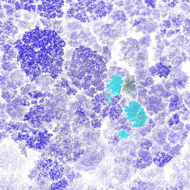 G-Space Photo