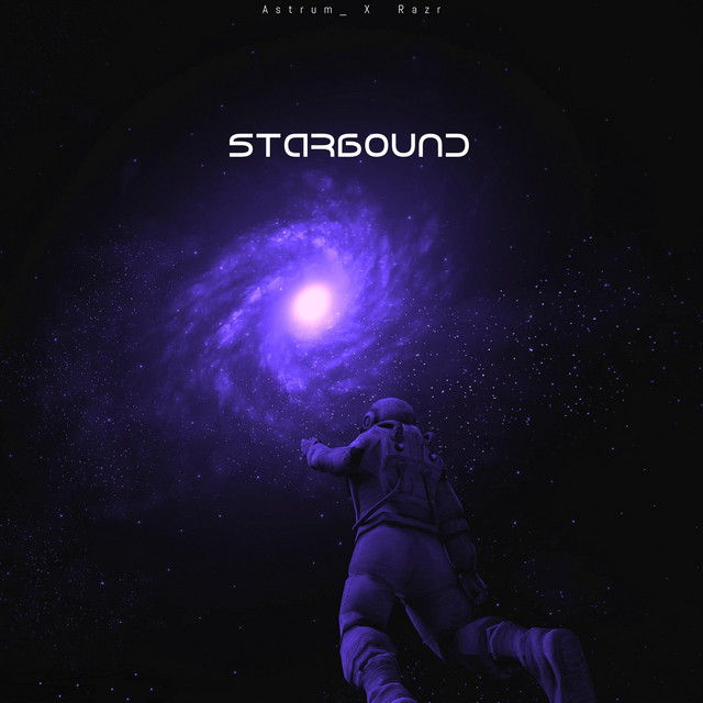 StarBound cover art