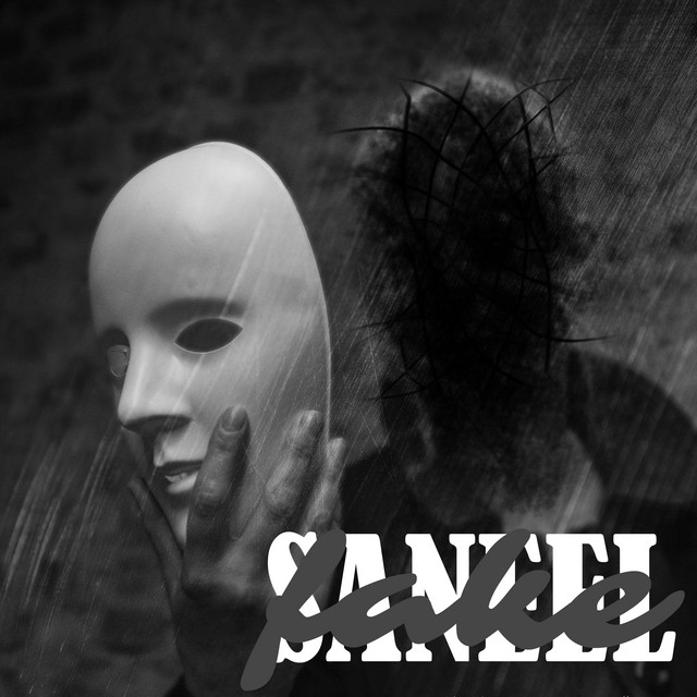 Fake - Single by SANEEL | Spotify