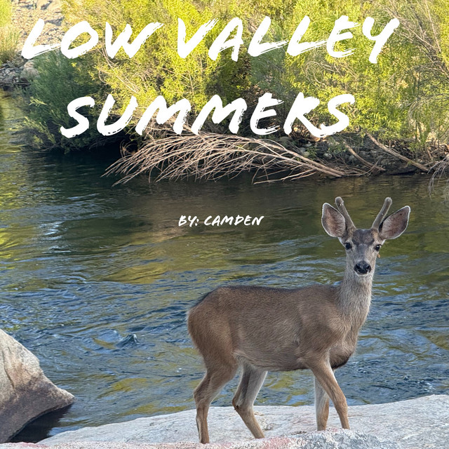 Low Valley Summers cover art