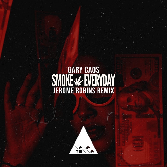 Smoke Everyday - Jerome Robins Remix album art