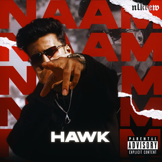 Naam Hawk cover art