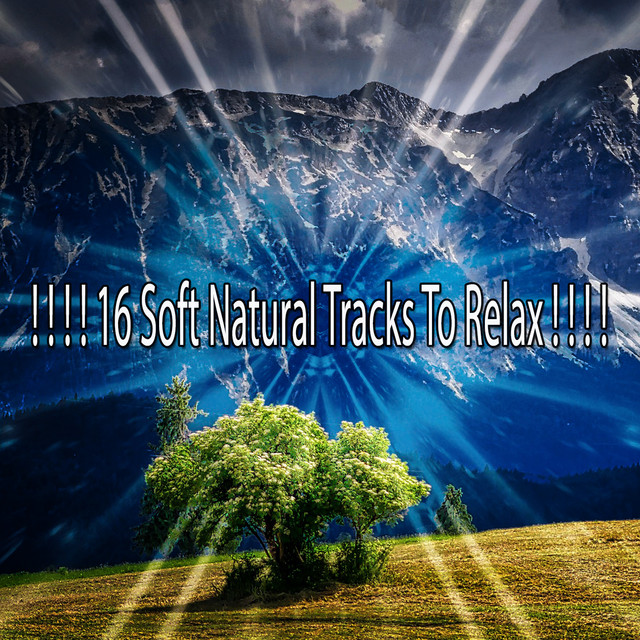 16 Soft Natural Tracks To Relax ! ! ! ! - Album by Nature Sounds | Spotify