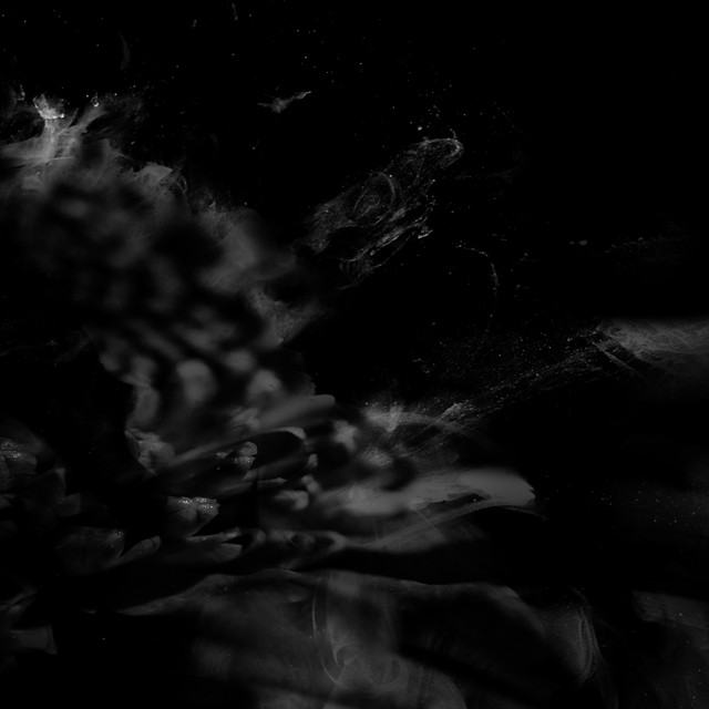 monochrome cover art