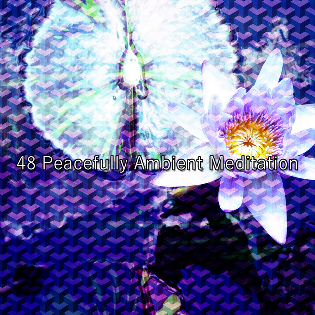 48 Peacefully Ambient Meditation cover art