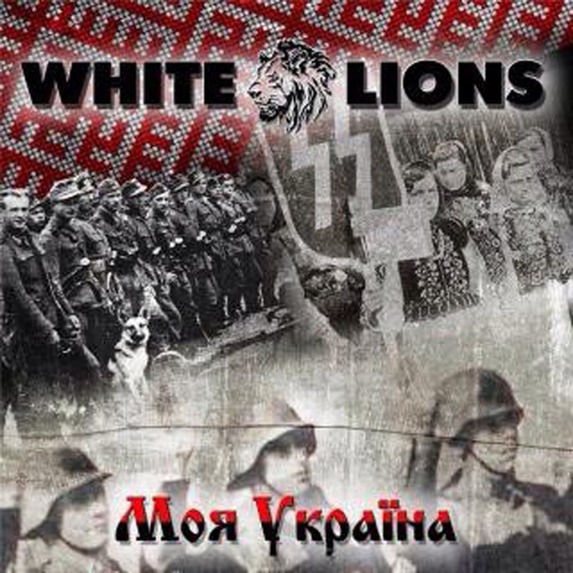 White Lions Photo