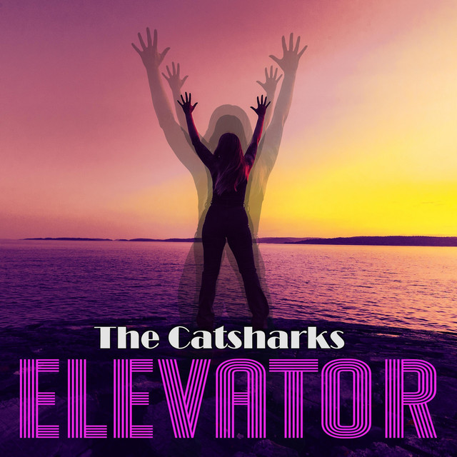 Elevator