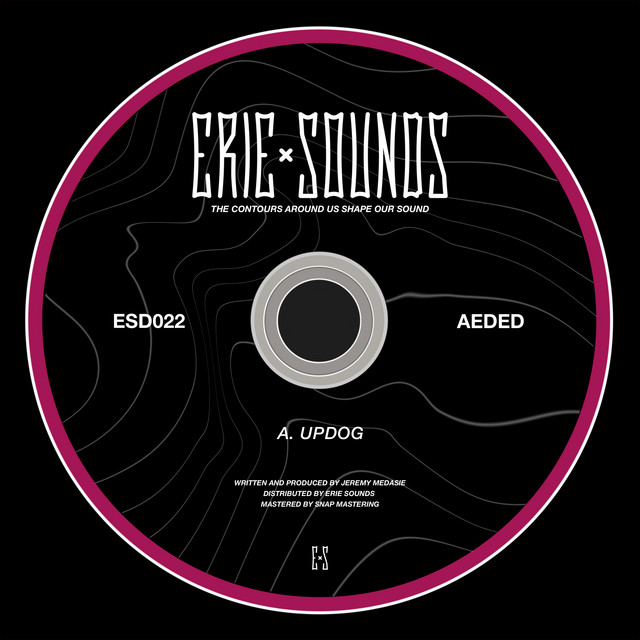 UPDOG cover