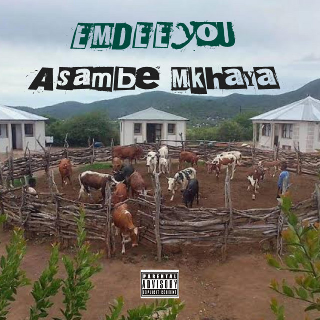 Asihambe Mkhaya cover art