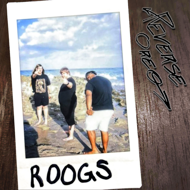ROOGS cover art
