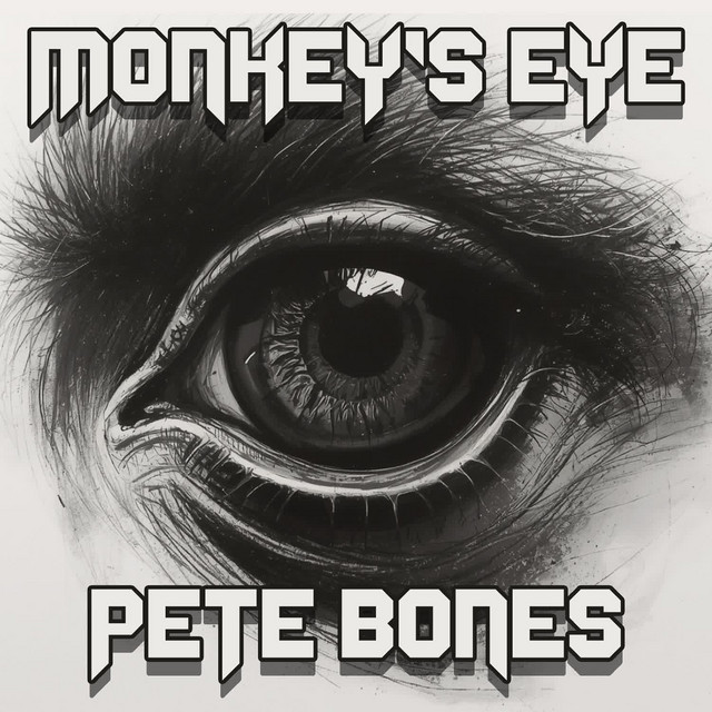 Monkey's Eye album art