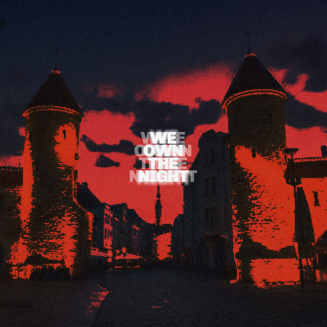 WE OWN THE NIGHT cover