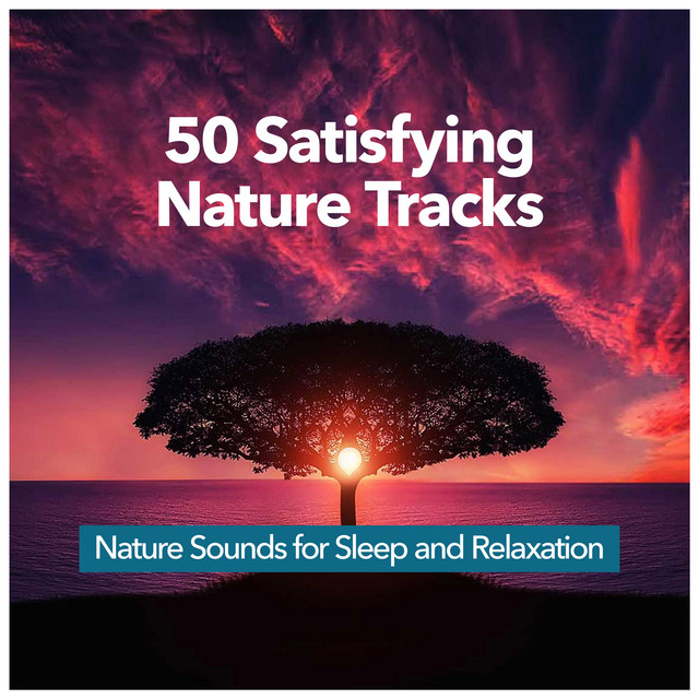 50 Satisfying Nature Tracks - Album by Nature Sounds for Sleep and ...