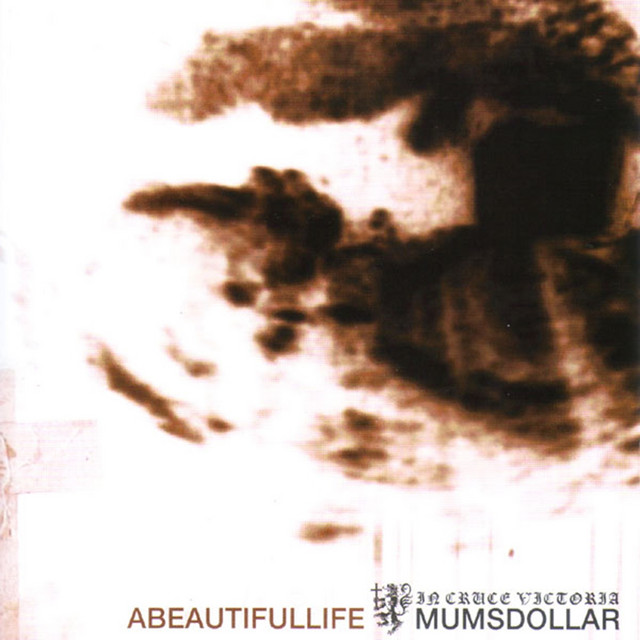 A Beautiful Life cover art