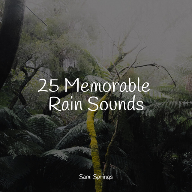 25 Memorable Rain Sounds - Album by Sounds Of Nature | Spotify