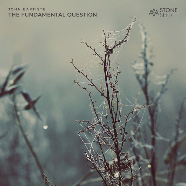 The Fundamental Question album art