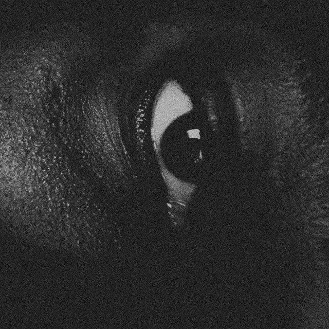 Before My Very Eyes cover art