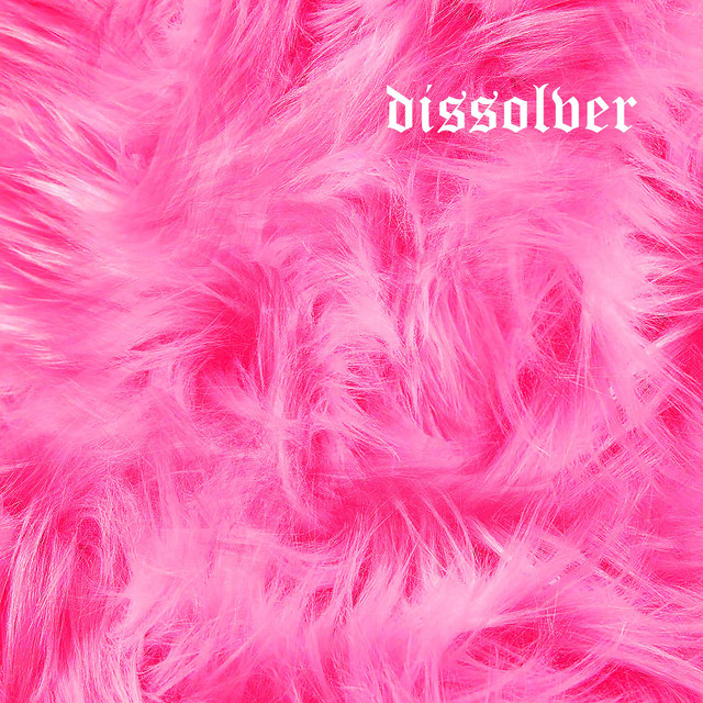 Don't Disturb Furby cover