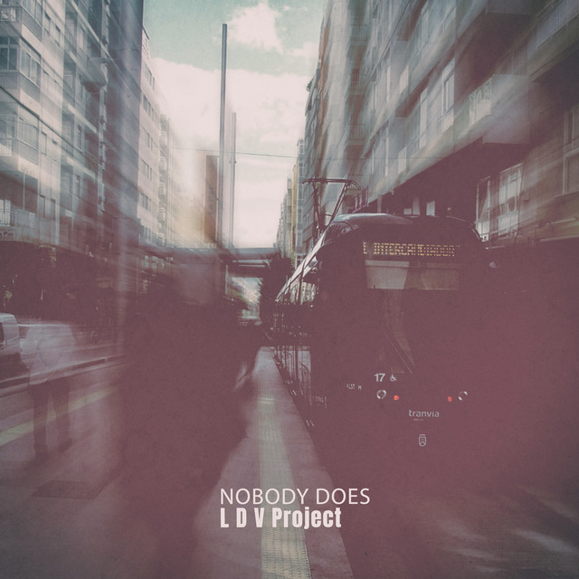 LDV Project
