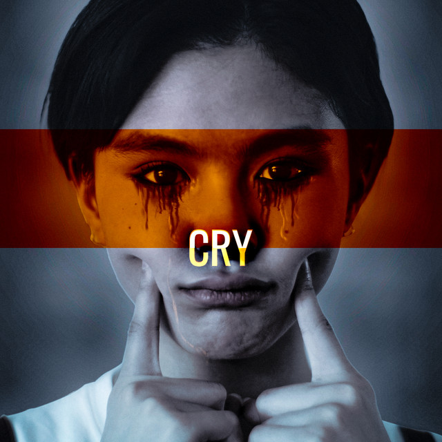 Cry - Single by Spaiceman | Spotify
