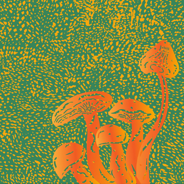 Myc cover art