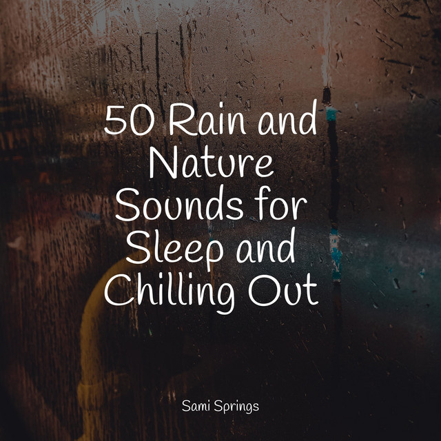 50 Rain and Nature Sounds for Sleep and Chilling Out - Album by Heavy ...