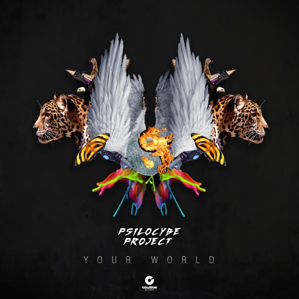Your World cover art