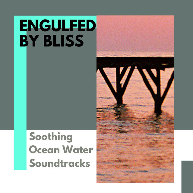 Rocking Summer Night cover art