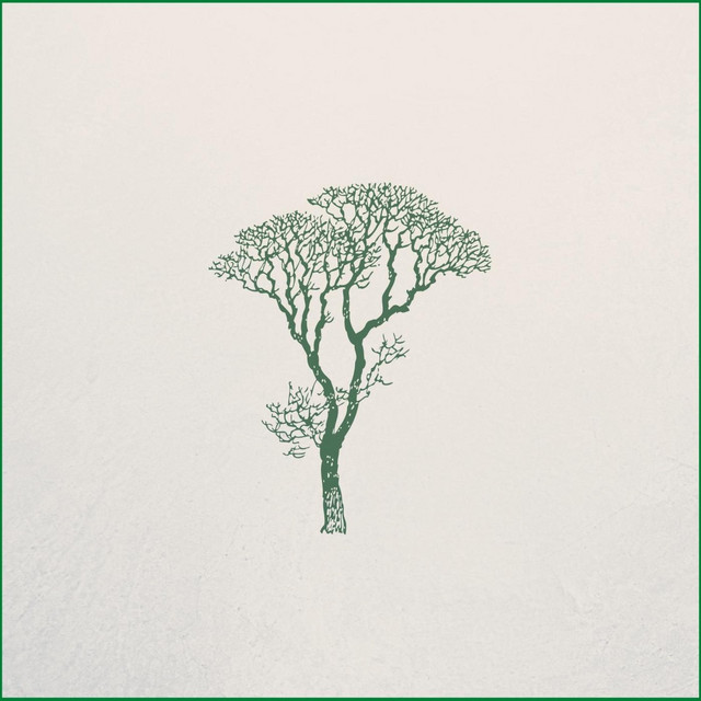 The Sleepy Trees Photo