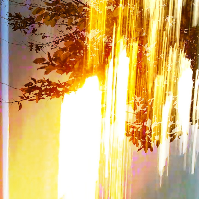 Reflects cover art