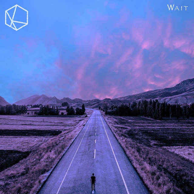 Wait cover art